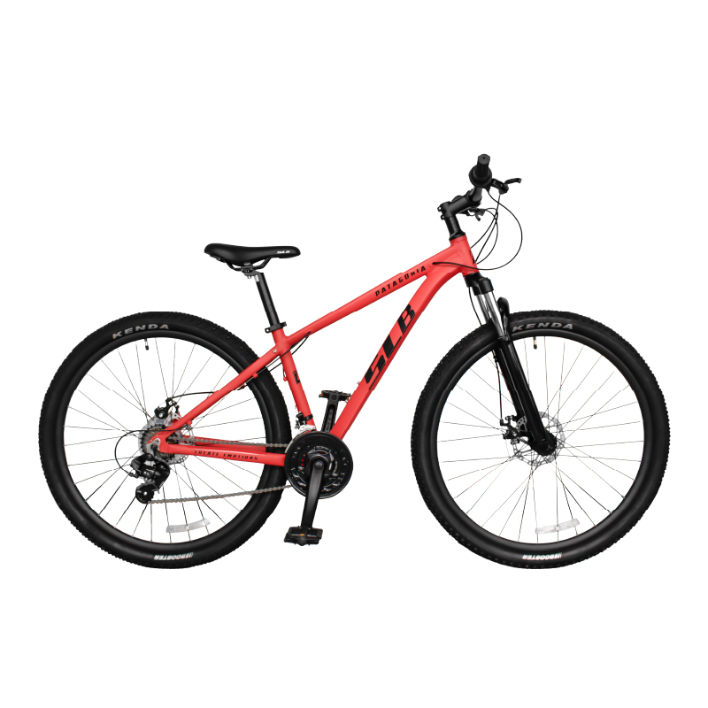 BICICLETA PATAGONIA 29 21V L